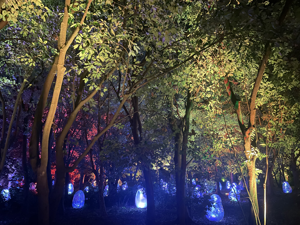 ツバキ園の呼応する小宇宙 - 固形化された光の色, Sunrise and Sunset /  Resonating Microcosms in the Common Camellia Garden - Solidified Light Color, Sunrise and Sunset