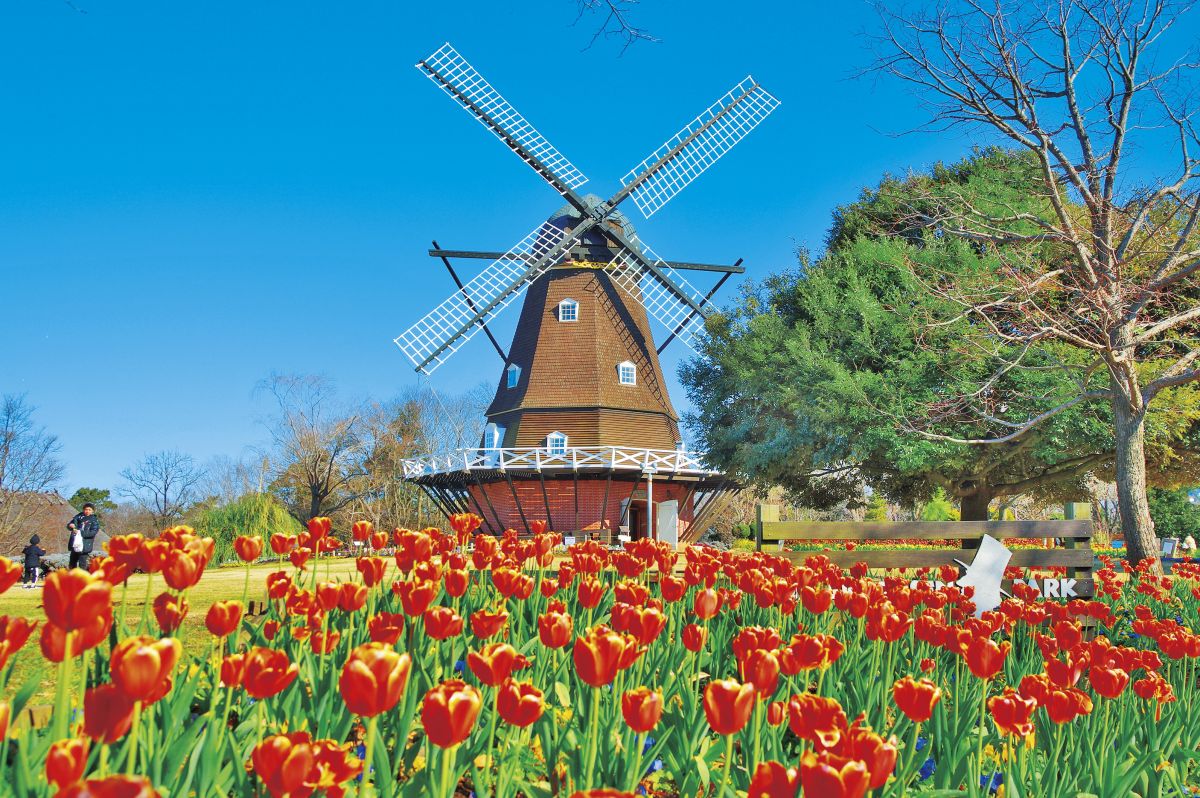 千葉県　野外露出 千葉県】まるで海外⁉ 感動の絶景スポットで世界一周気分｜るるぶ&more.