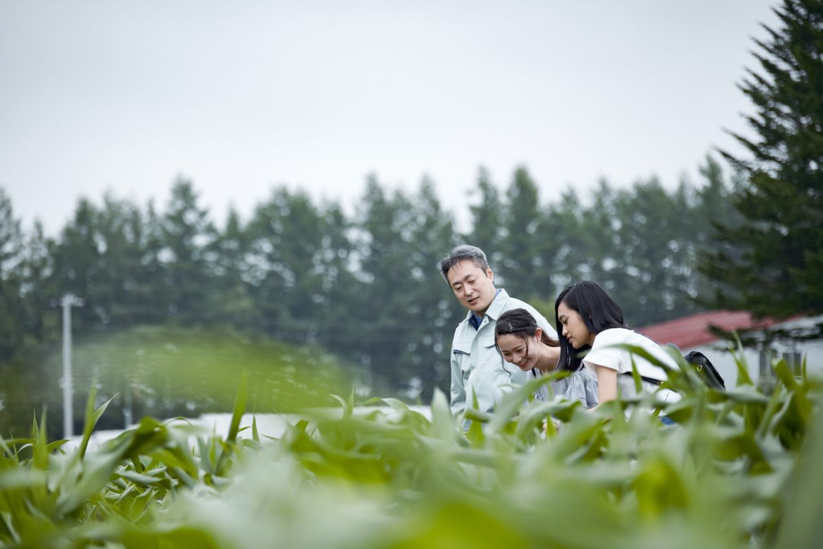 ※写真はイメージです