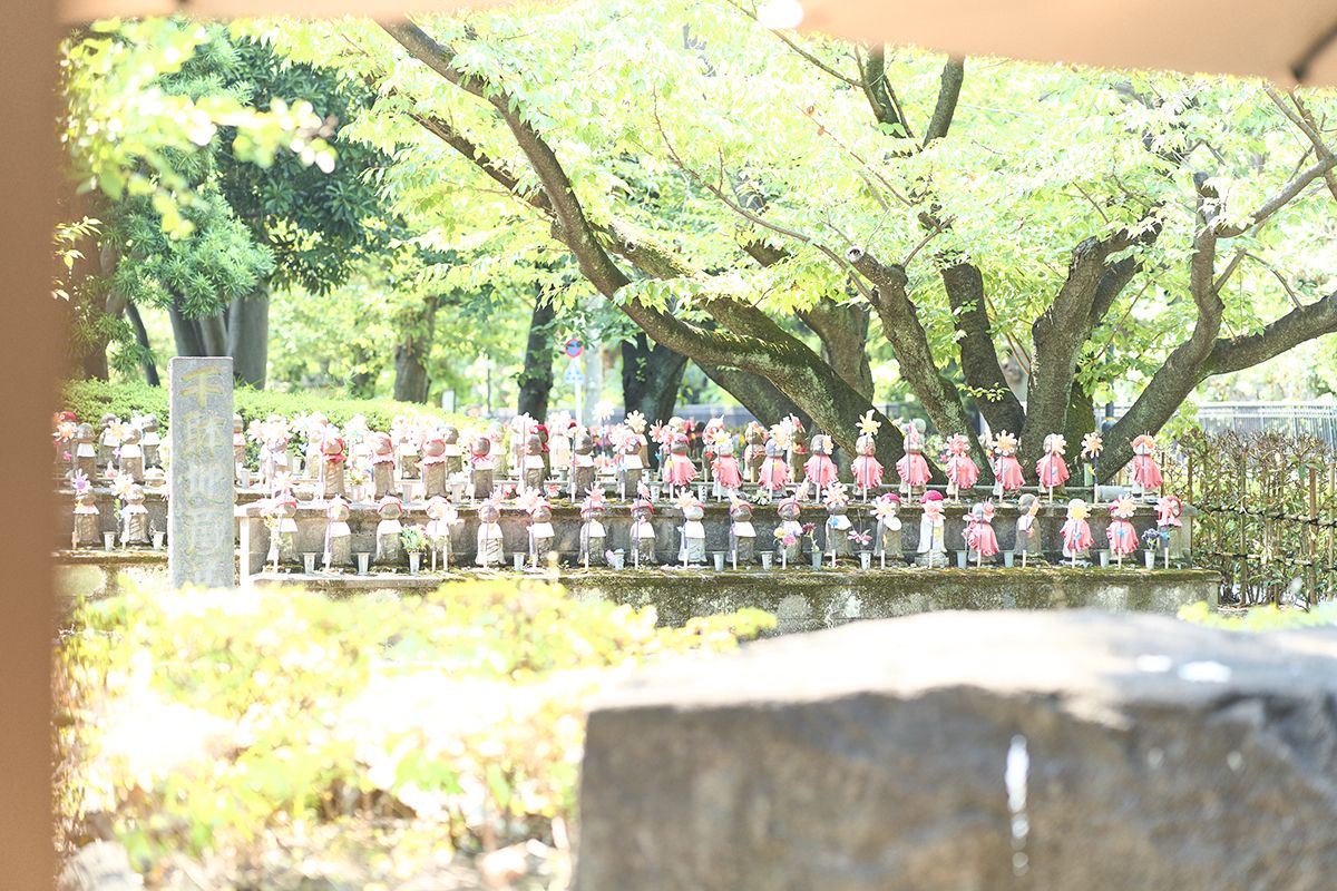 TERA CAFE SHIEN ~ZOJOJI~