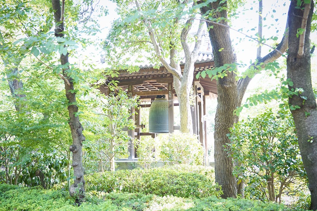 TERA CAFE SHIEN ~ZOJOJI~