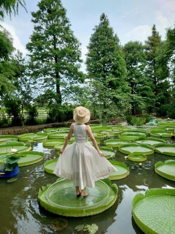 蓮荷園休閒農場