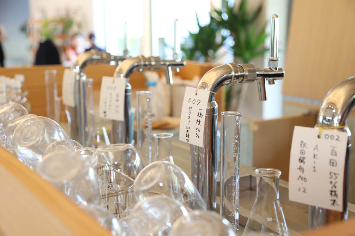 サーバーからフレッシュな生酒が注がれる。持ち帰りは、①専用ステンレスボトル3600円＋日本酒600ml2000円＝5600円、または②ペットボトル500ml2000円から選べる