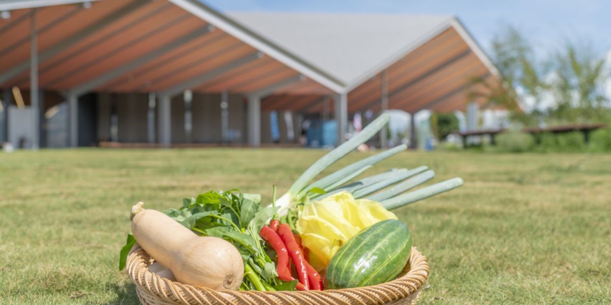 千葉・柏市の野菜はこんなにおいしい‼ 「道の駅しょうなん」で地元野菜の魅力を発見！｜るるぶ&more.
