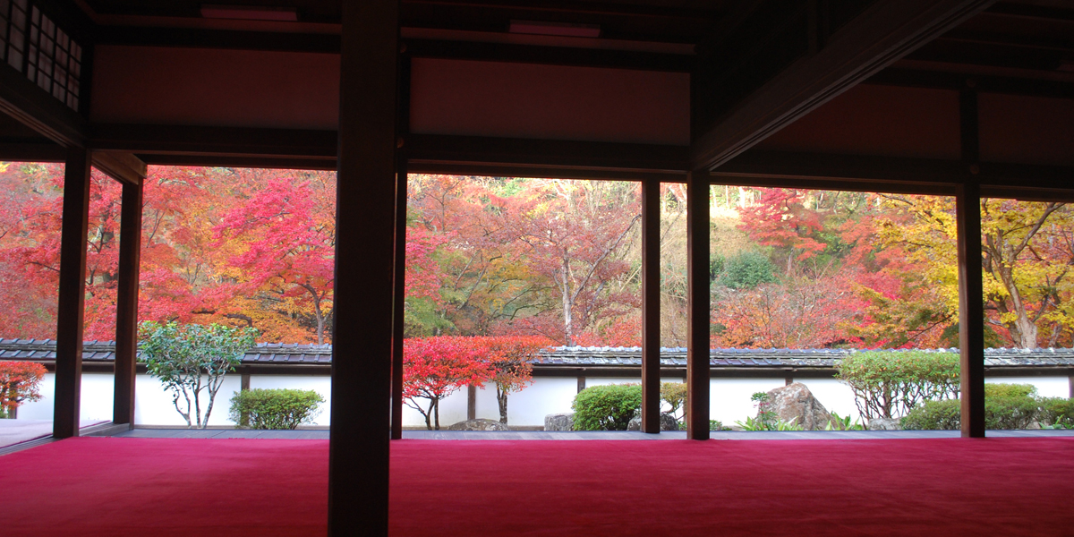 奈良県でおすすめの紅葉名所～見頃やライトアップなどの2025年情報～