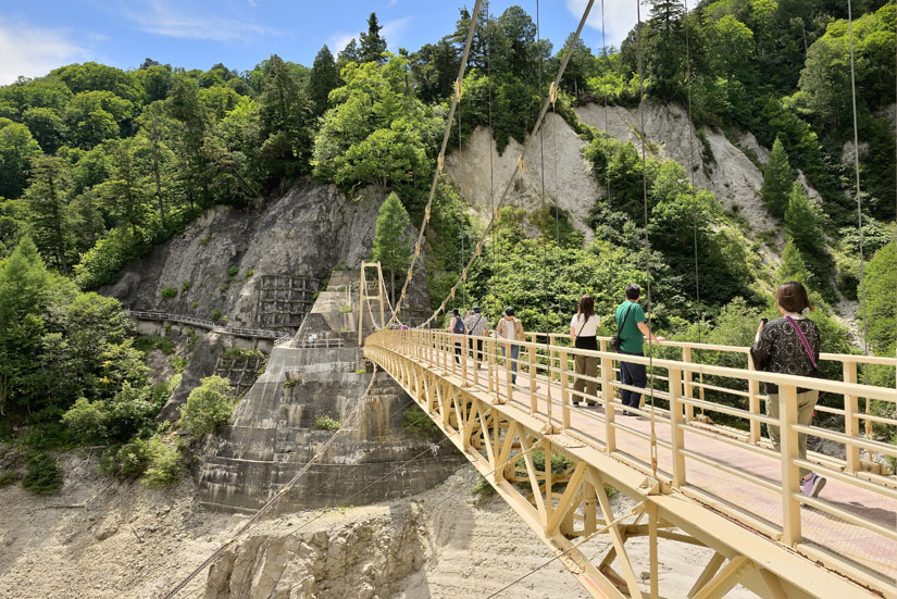 初心者でも気軽に森林浴とトレッキングが楽しめるように整備されています