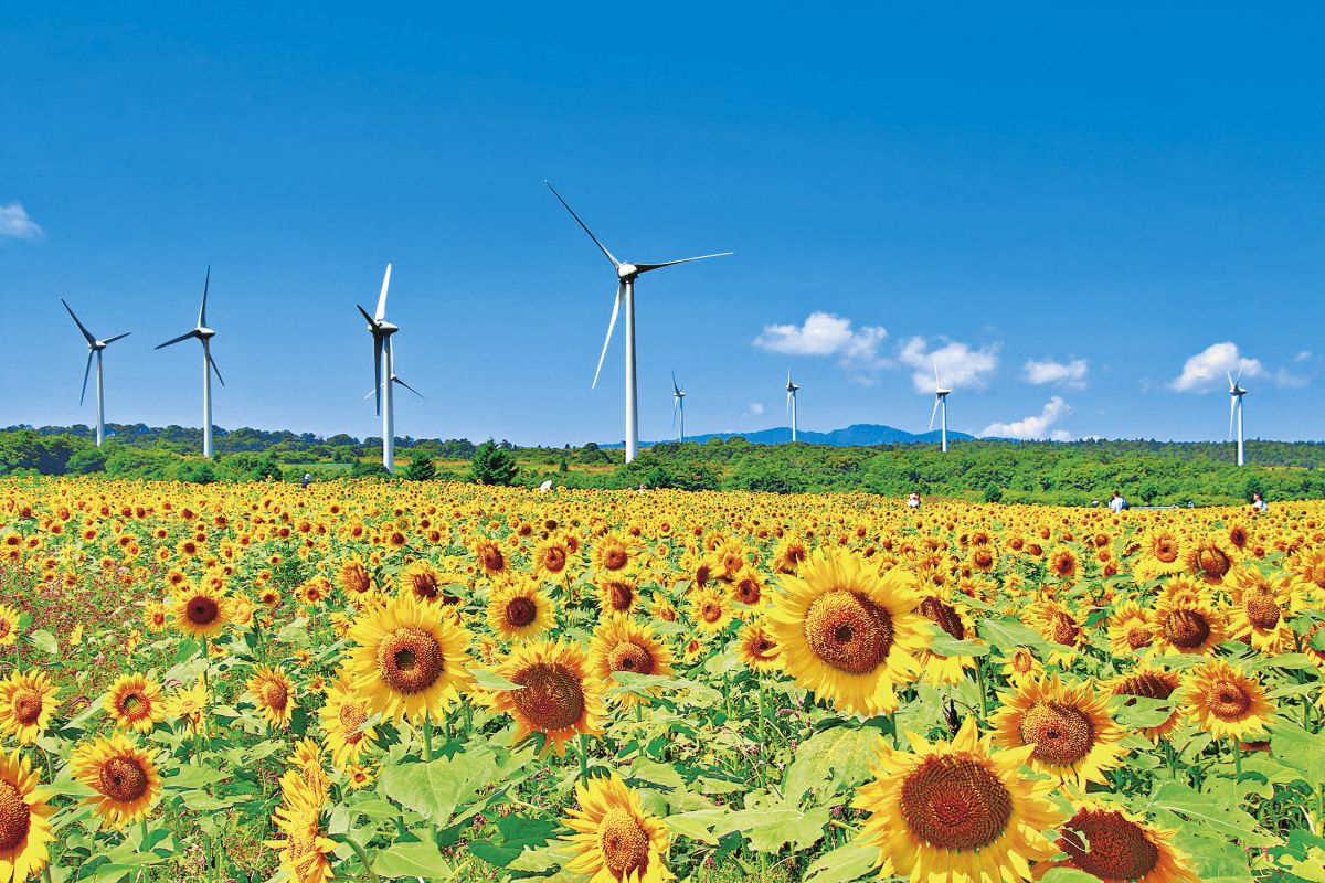 郡山布引風の高原