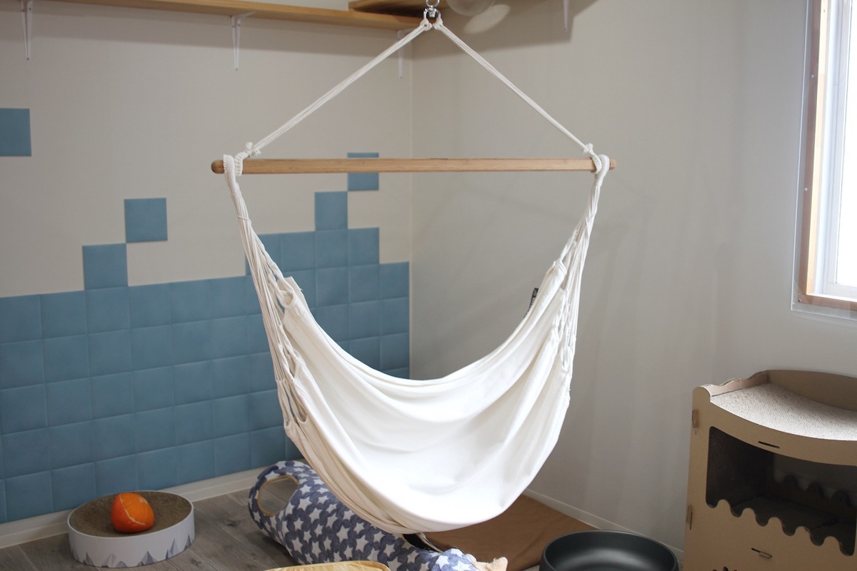 人も猫も乗れるハンモックやブランコもある