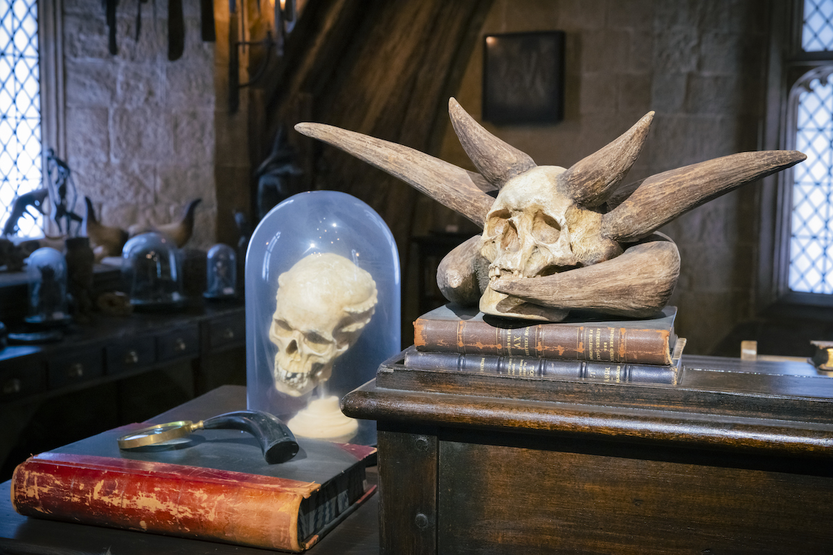 ‘Wizarding World’ and all related names, characters and indicia are trademarks of and © Warner Bros.Entertainment Inc. – Wizarding World publishing rights © J.K. Rowling.