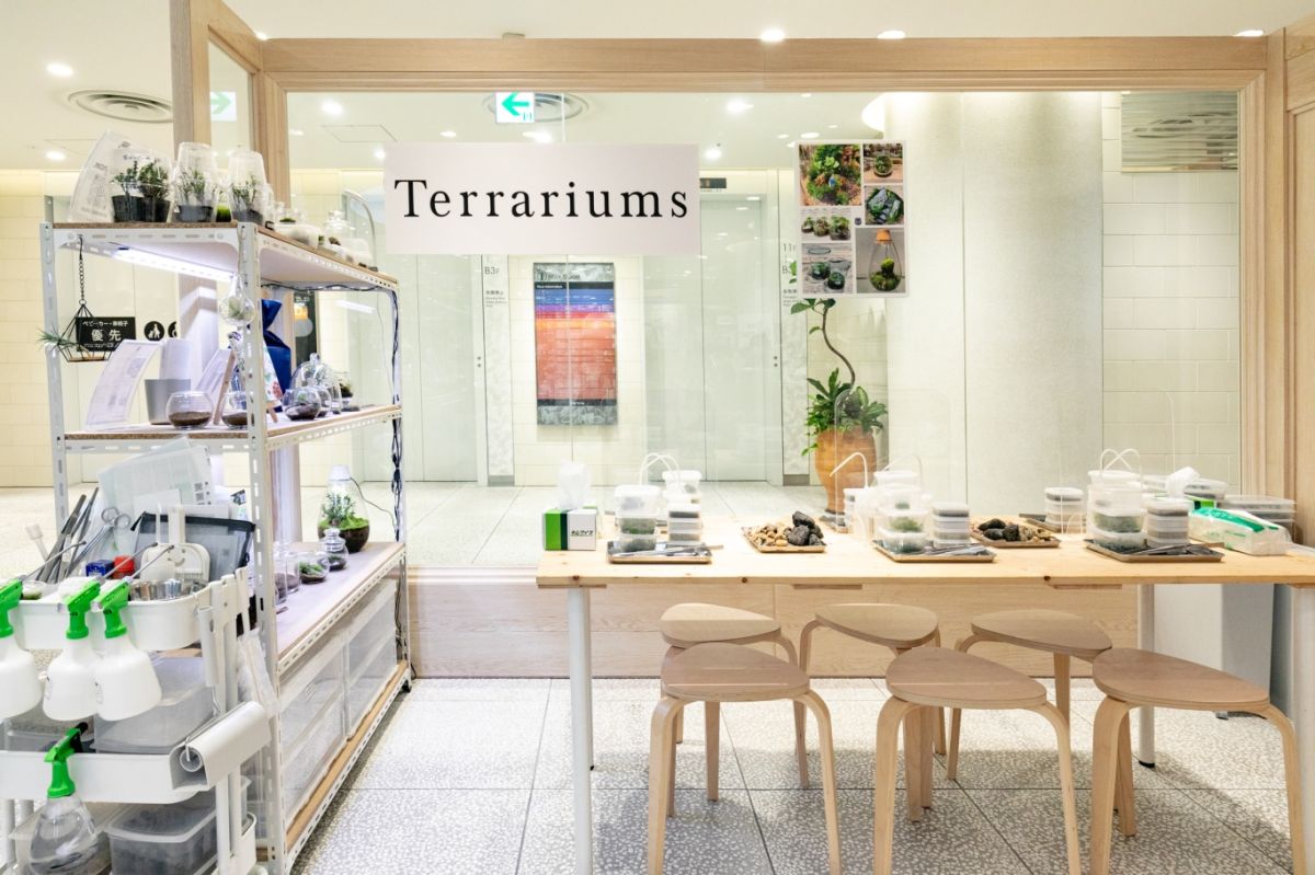 「Terrariums 渋谷ヒカリエ店」