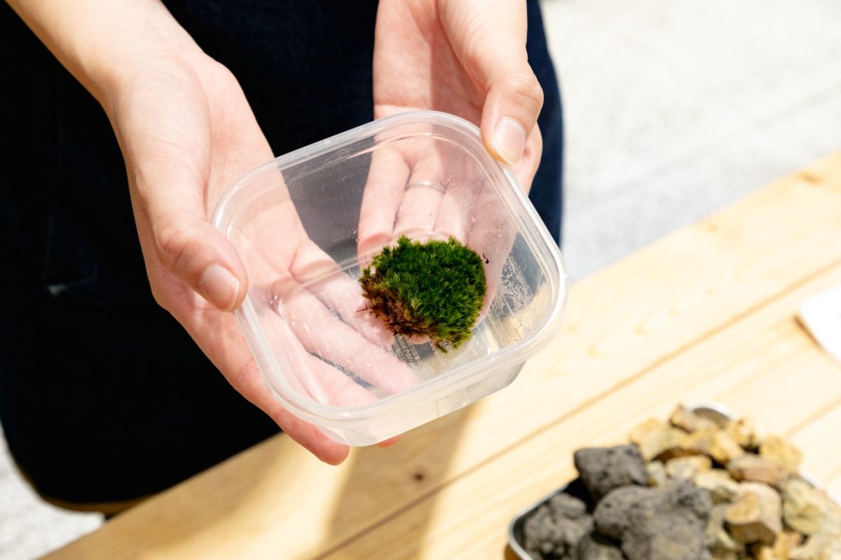 Terrariums 渋谷ヒカリエ店