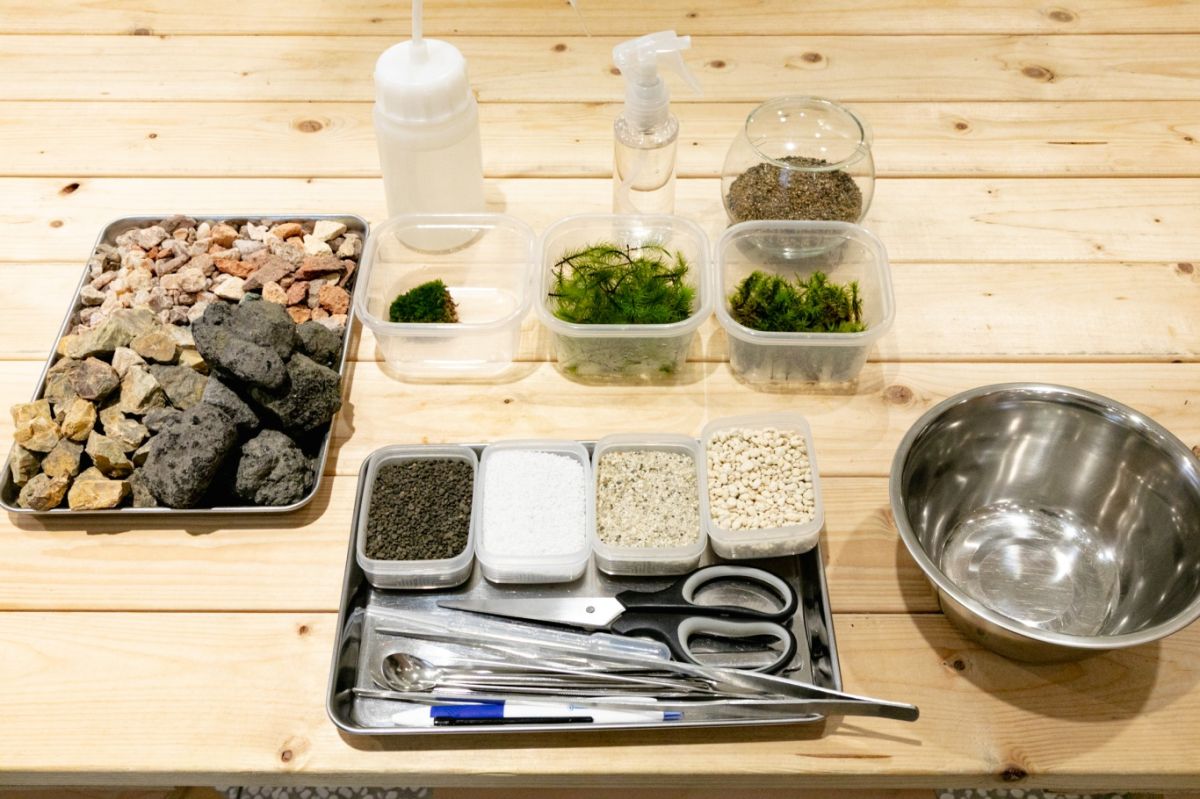 Terrariums 渋谷ヒカリエ店