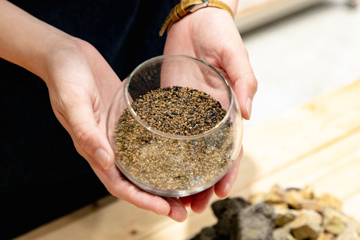 Terrariums 渋谷ヒカリエ店