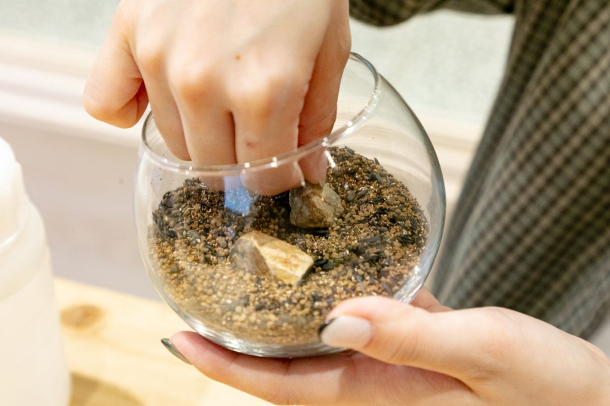 Terrariums 渋谷ヒカリエ店