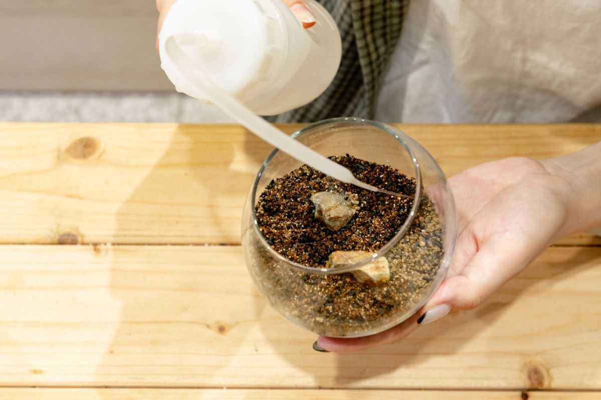 Terrariums 渋谷ヒカリエ店