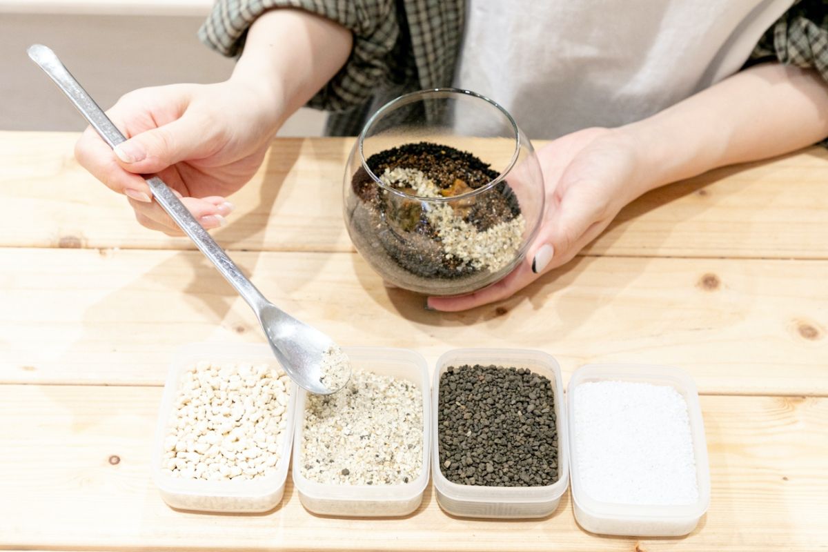 Terrariums 渋谷ヒカリエ店