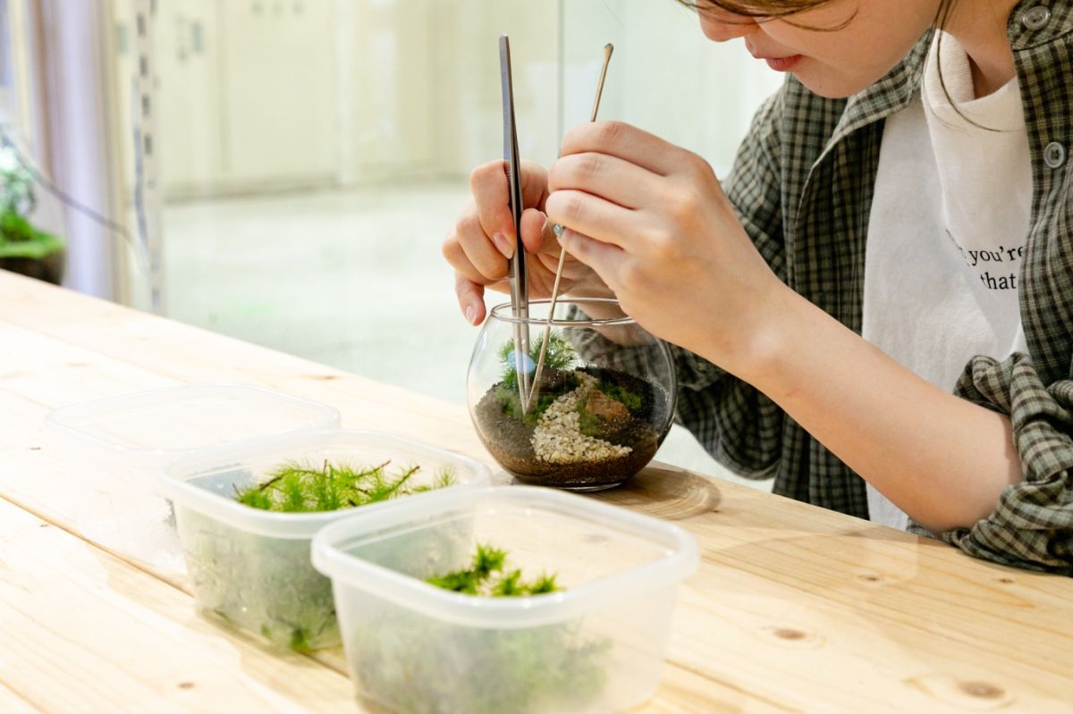 Terrariums 渋谷ヒカリエ店