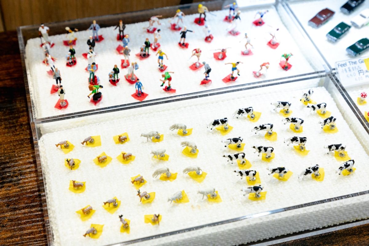 Terrariums 渋谷ヒカリエ店