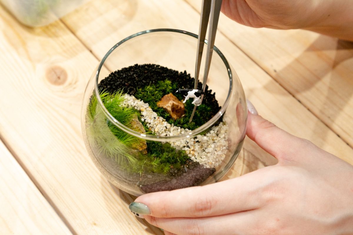 Terrariums 渋谷ヒカリエ店