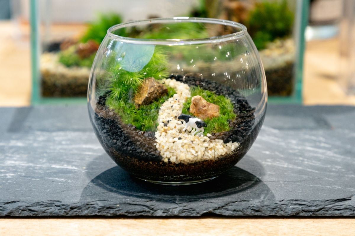 Terrariums 渋谷ヒカリエ店
