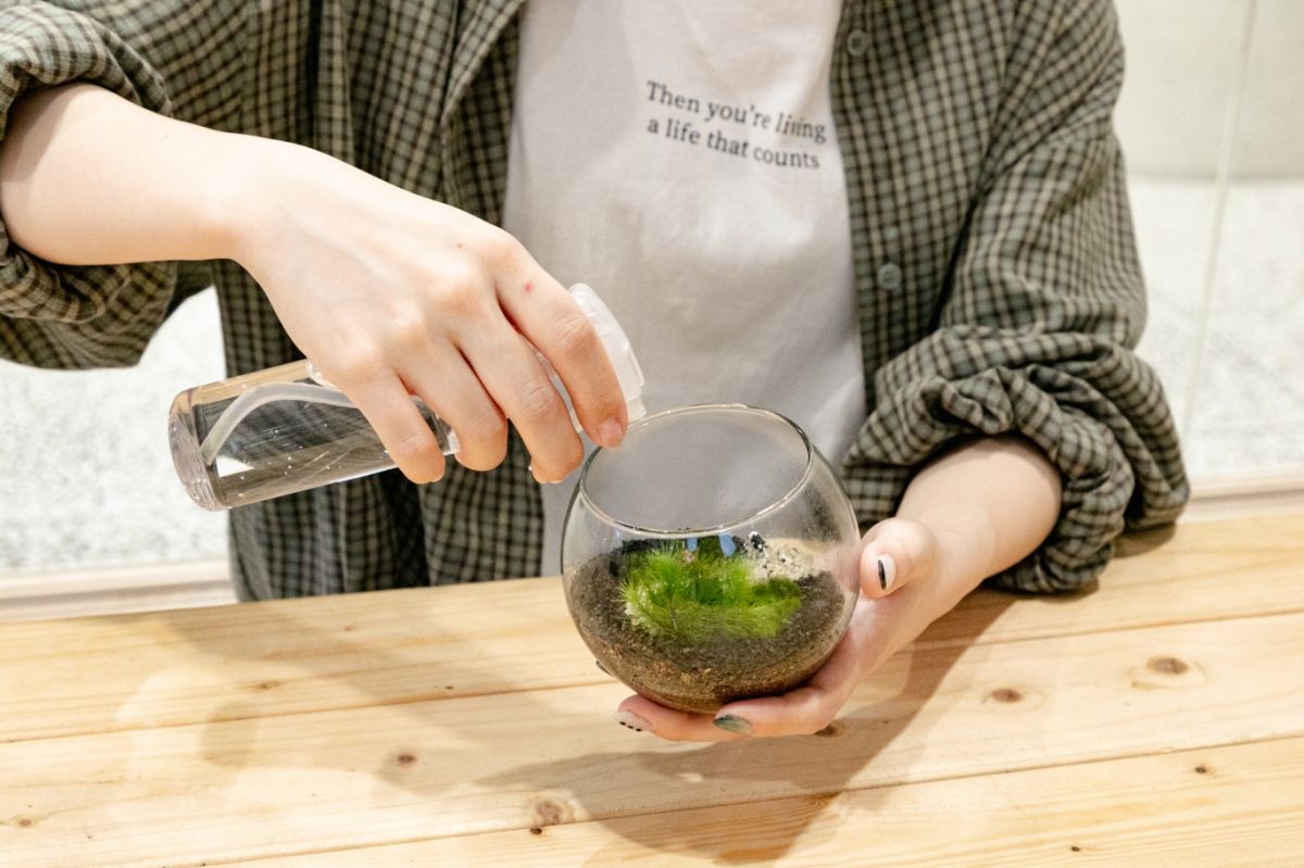 Terrariums 渋谷ヒカリエ店