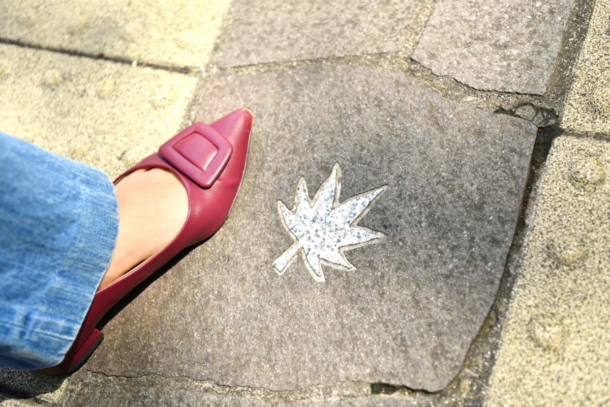 19号地の入口には、モミジをモチーフにした敷石も