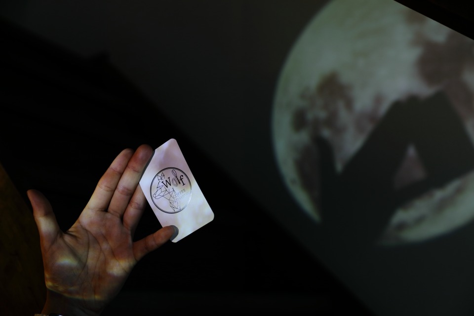 Wolf COFFEE PATISSERIE