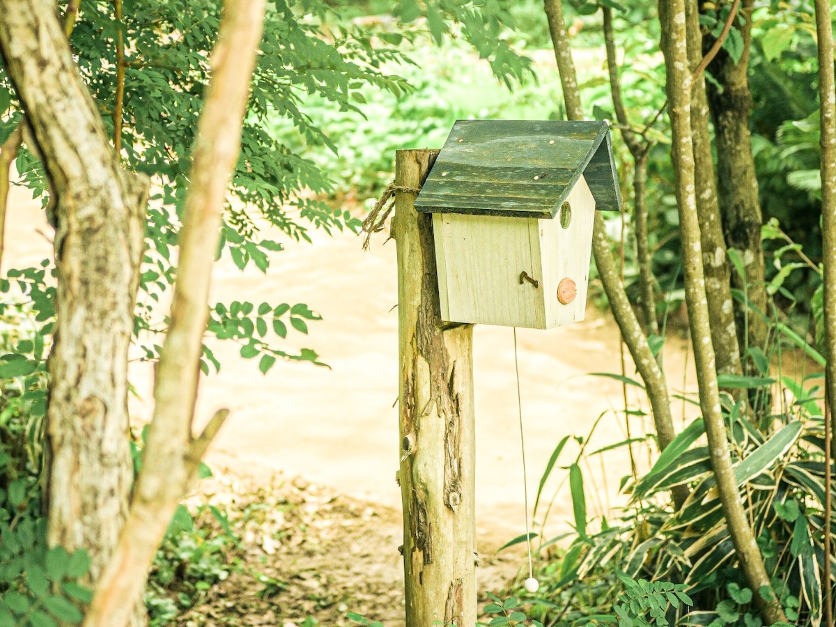 ©︎ROKKO森の音ミュージアム