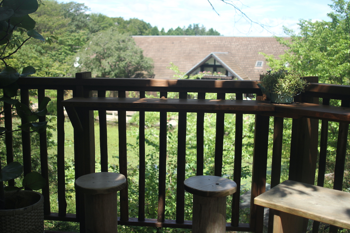 ツリーハウスからガーデンを見渡せる