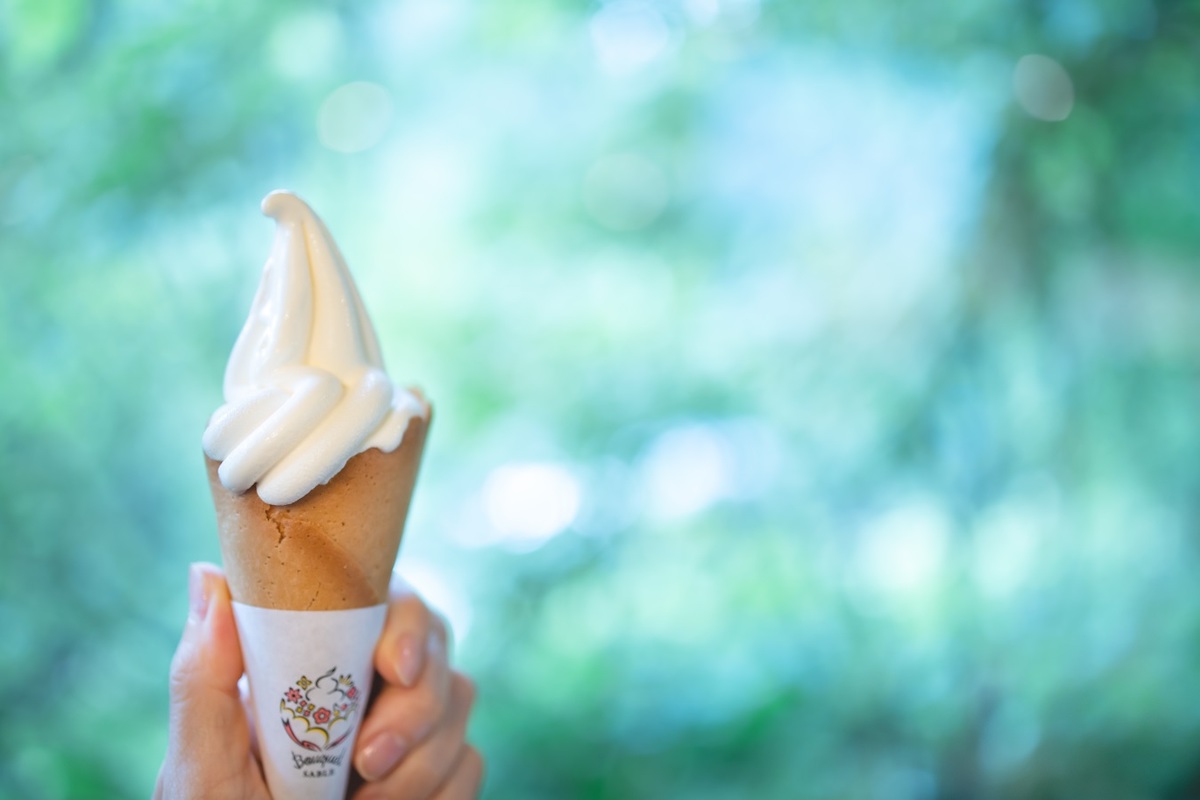 ©︎ROKKO森の音ミュージアム