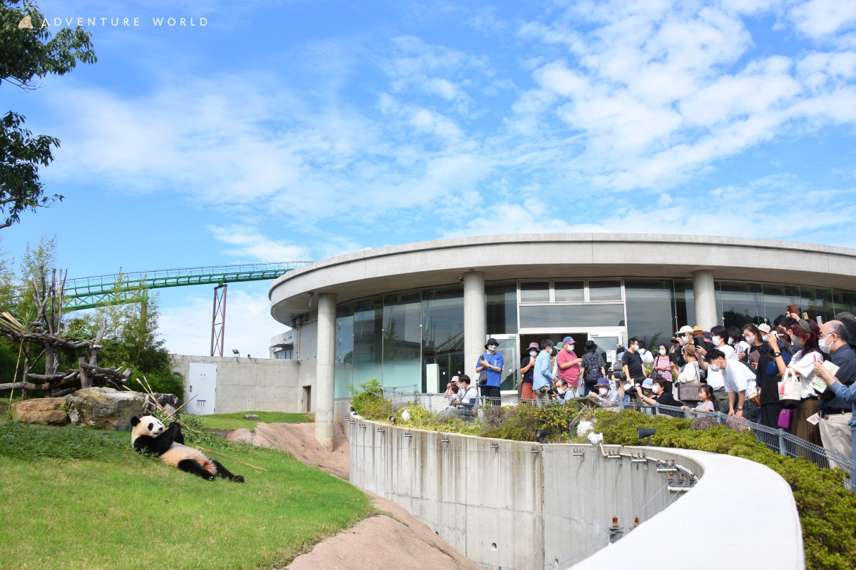 アドベンチャーワールドのパンダラブ
