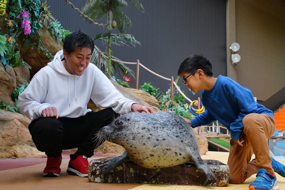 マリンワールドWish