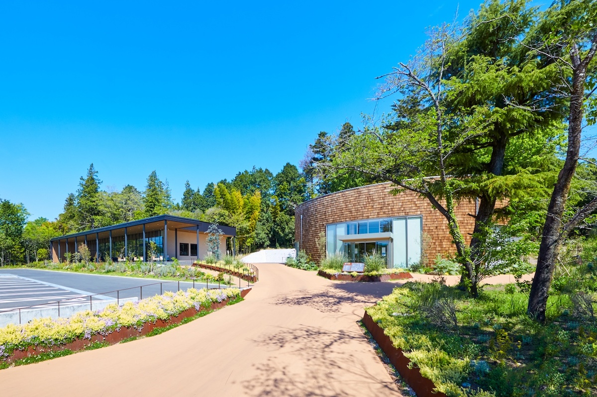 左の建物が発酵食品のショップ「八幡屋」、右はデリカフェ「Piene Café」