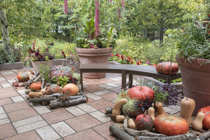 写真スポットのひとつ、大ガゼボには、秋になるとさまざまなカボチャが並びます