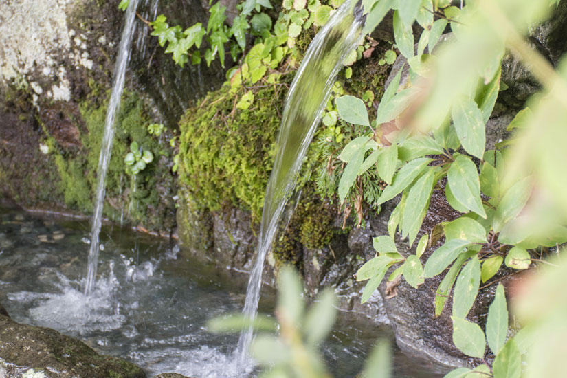 適度なミネラルを含んだまろやかな軟水をどうぞ