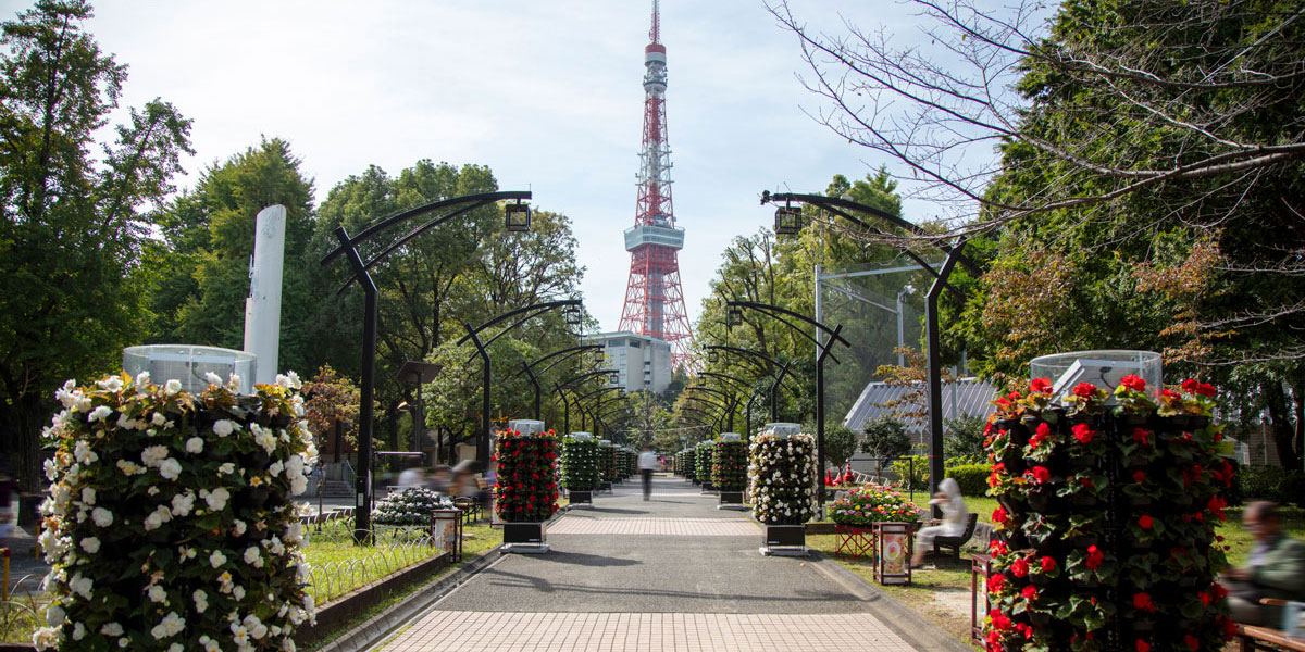 東京タワー×花の競演で、写真映え！開園150周年の芝公園で「花と光のムーブメント 2023秋」が開催中！フォトスポットや古墳、紅葉、桜…、園内はお楽しみがいっぱい
