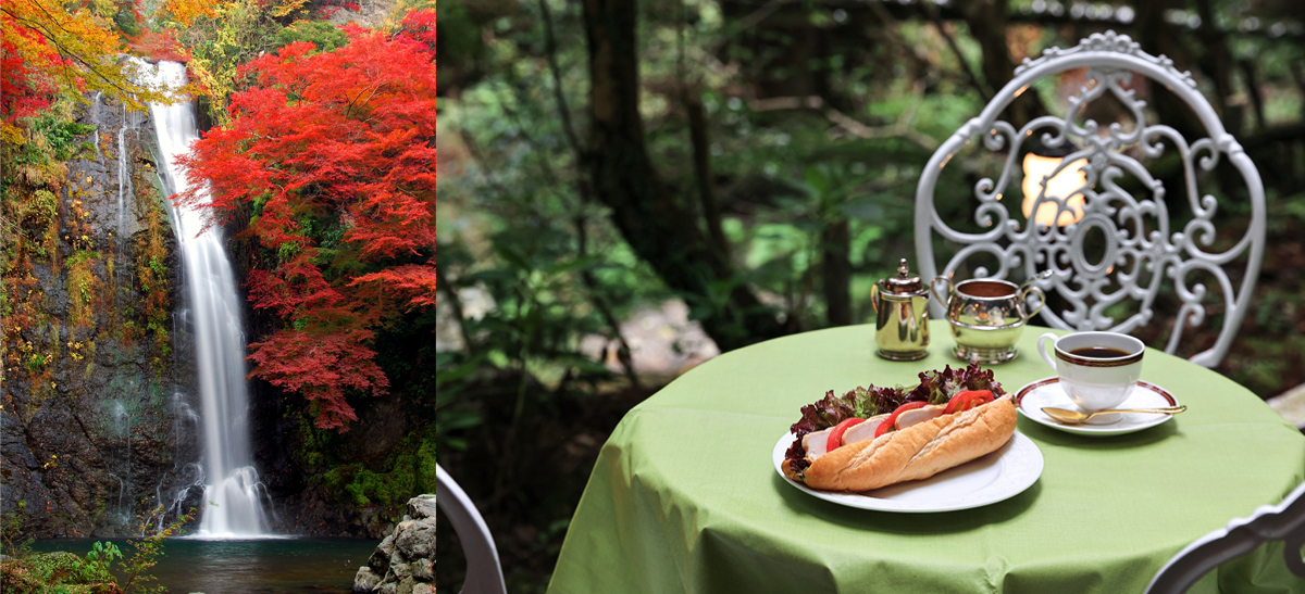大阪・箕面「山本珈琲館」で、紅葉を眺めつつとっておきのコーヒータイム