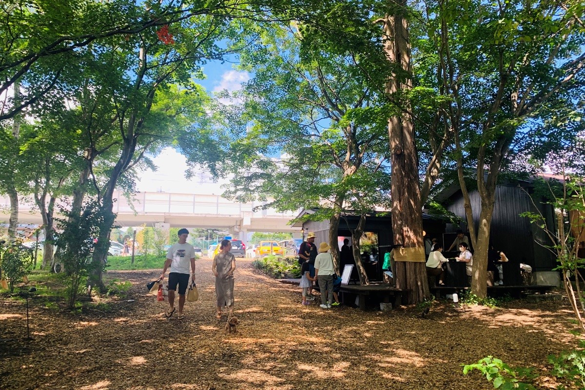 木漏れ日と鳥のさえずりが気持ちいい