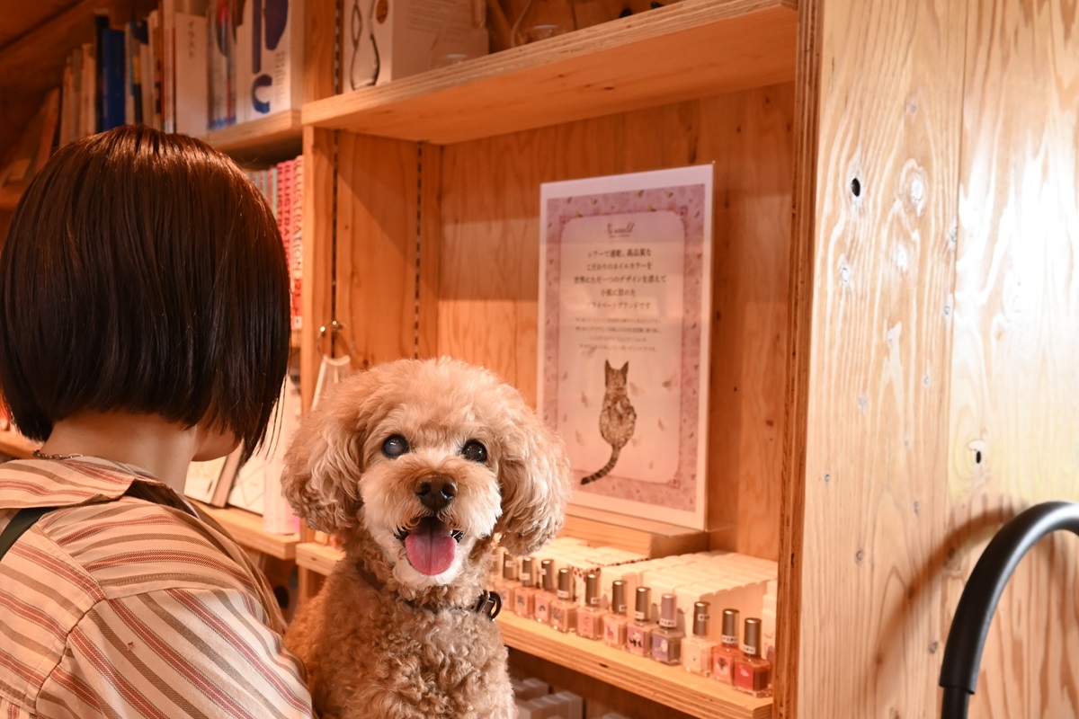 抱っこかケージに入っていればワンコも書店内に入れる
