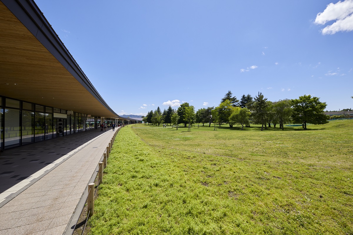 ツリーモールエリアの芝生のひろば。店舗との行き来が簡単にでき休憩にぴったり。ワンコと芝生内に入れるのはココだけ（要リード）