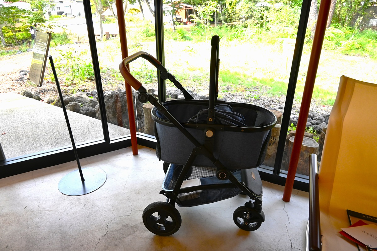 「軽井沢書店」入口に置かれる貸し出し用カート（2台、中型犬まで）