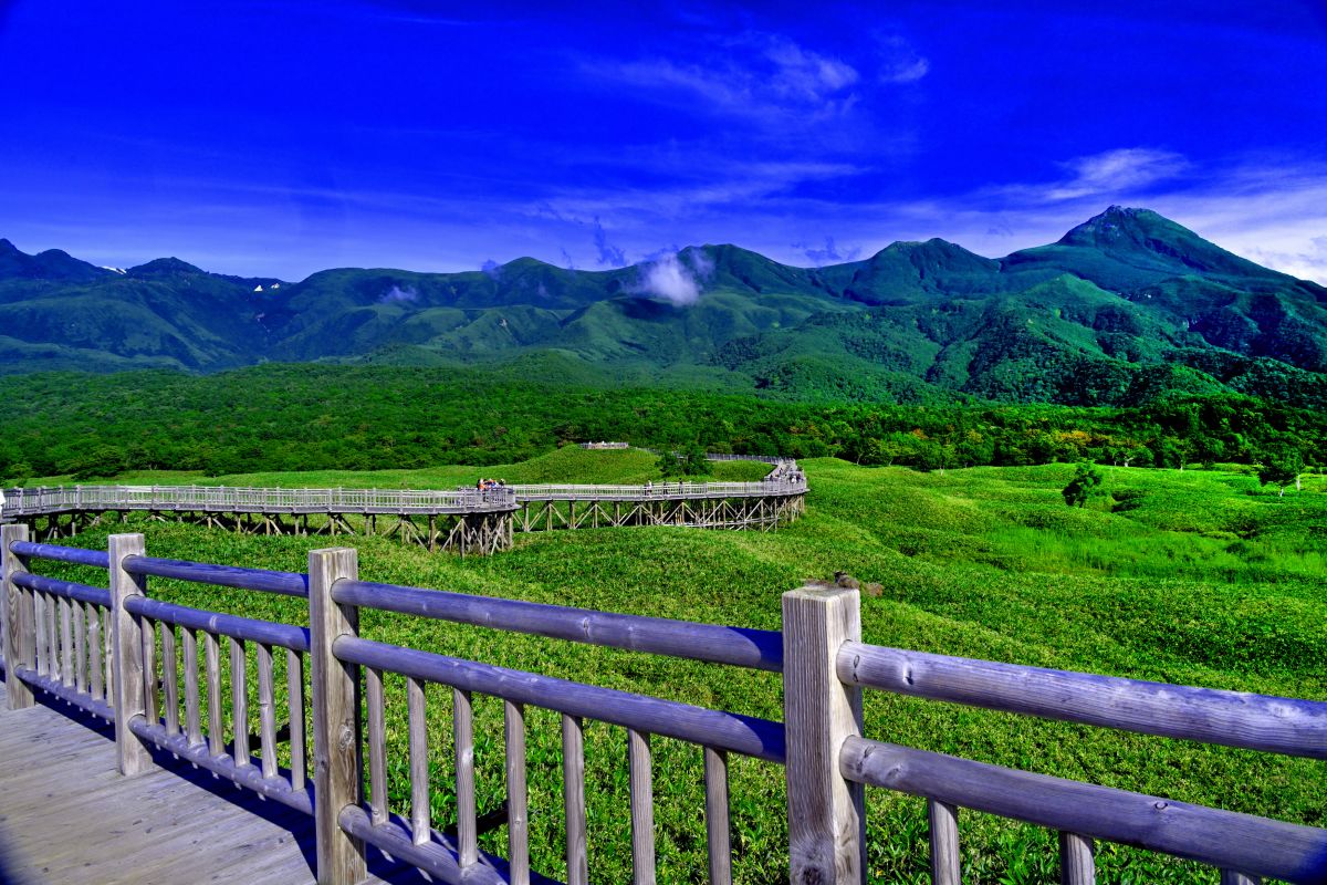 高架木道コース