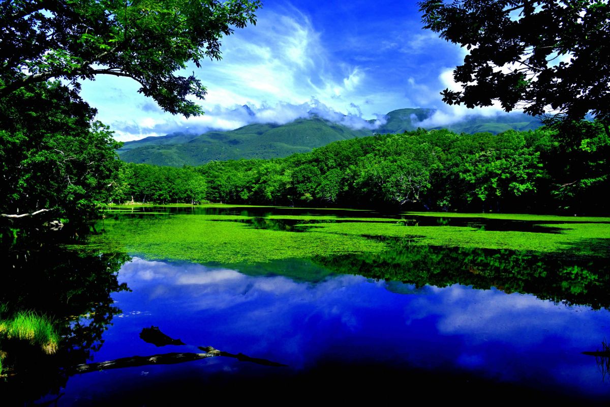 木々の間から四湖と硫黄山を望む