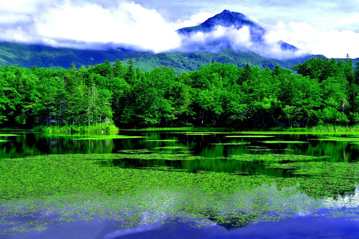 三湖の背後には羅臼岳が高くそびえる