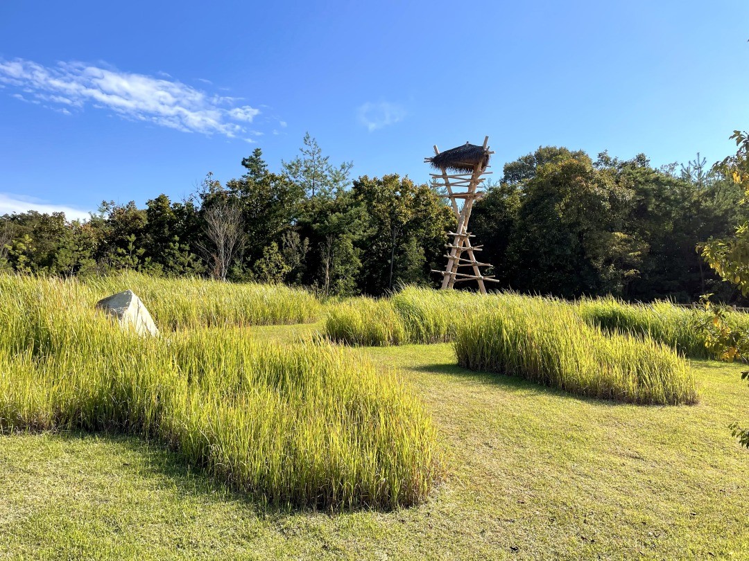 もののけの里の風景