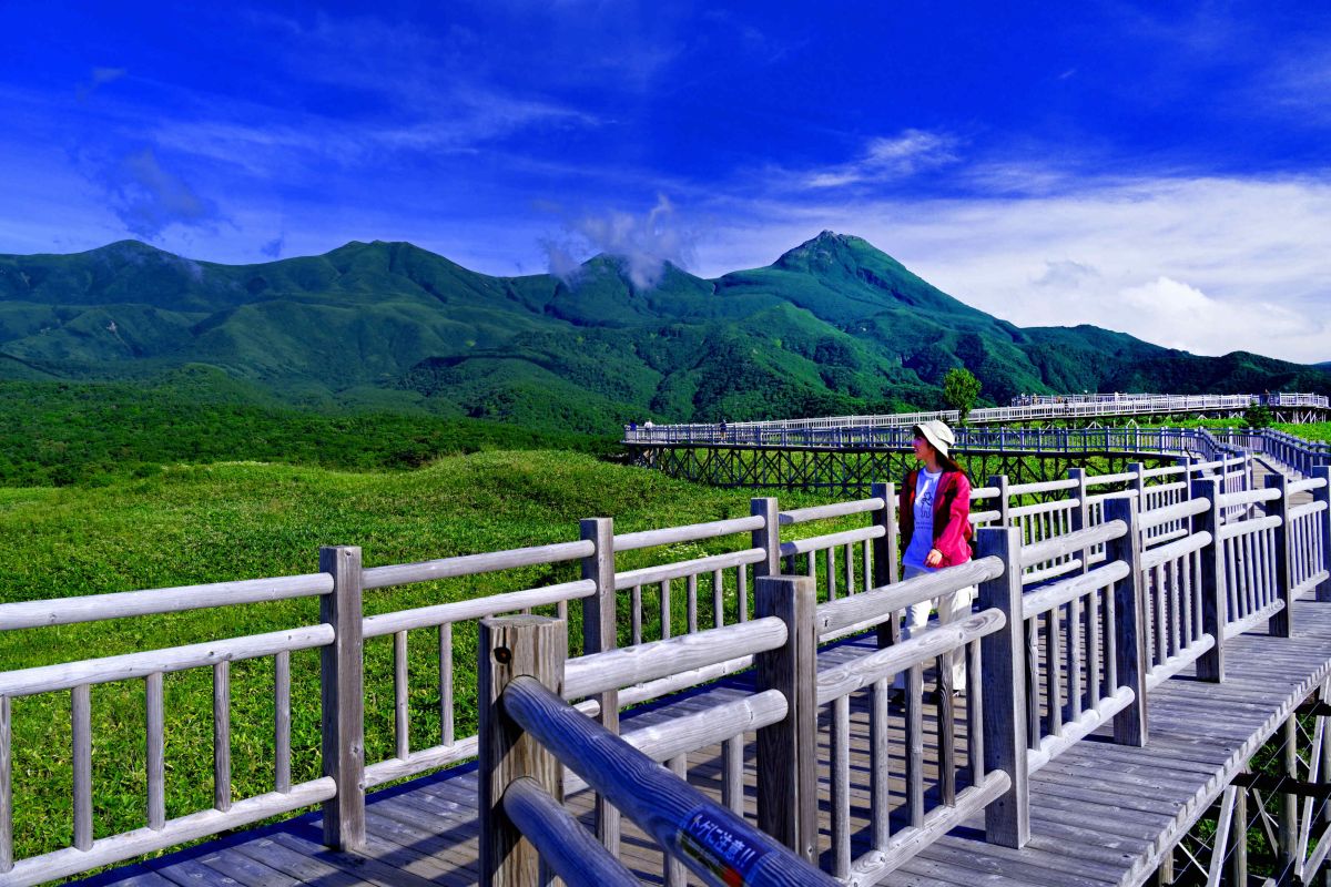 木道は段差がないので歩きやすい