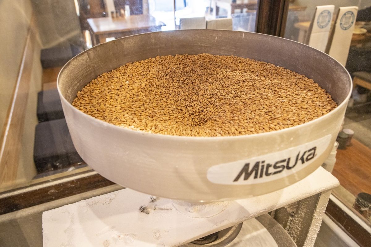 自家製粉石臼挽きうどん青空blue 本店