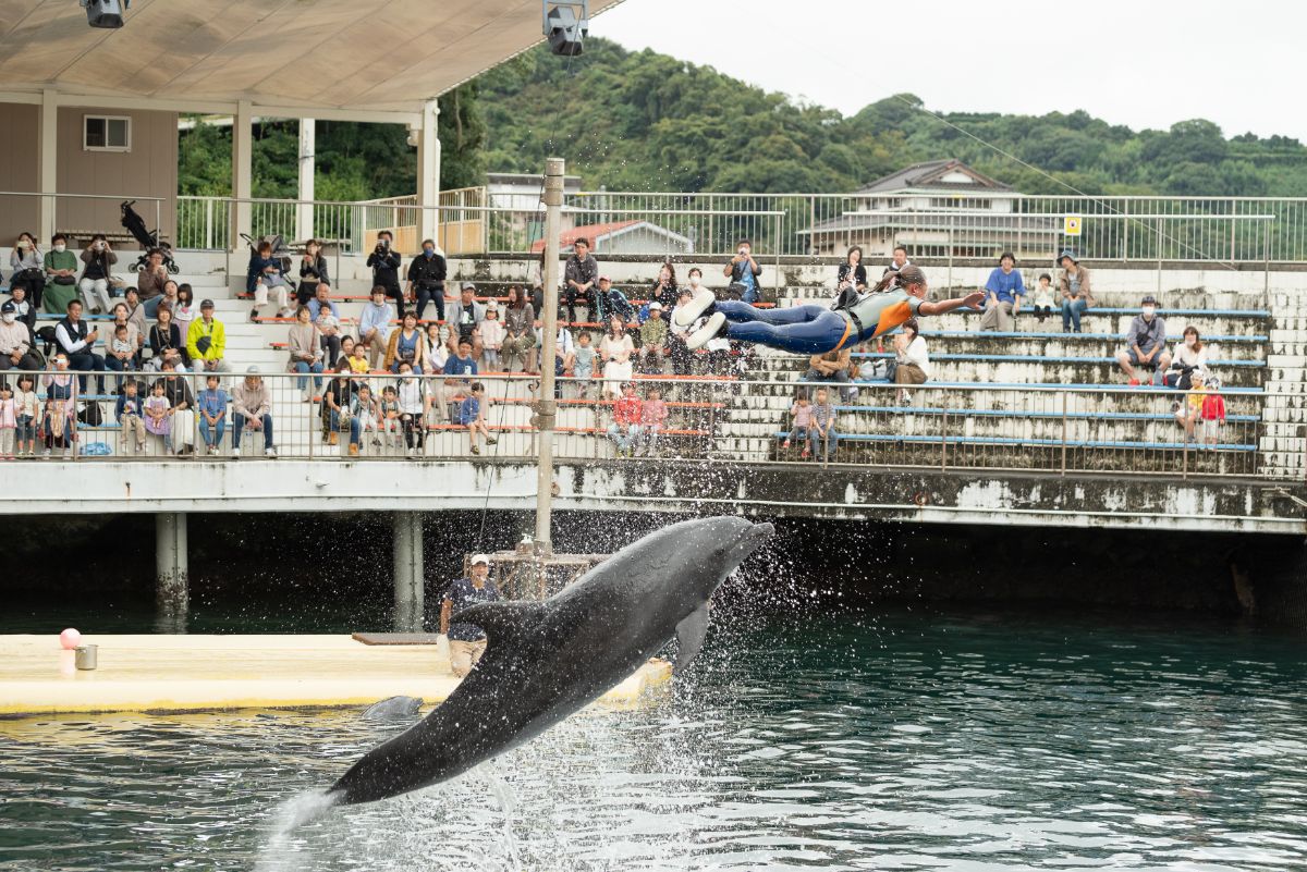 ショーの見せ場である、ロケットジャンプ！パートナーと、息の合った技を繰り広げます