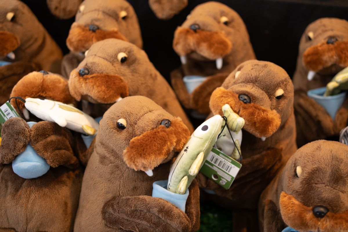 「ぬいぐるみ（うみぞう）」2200円