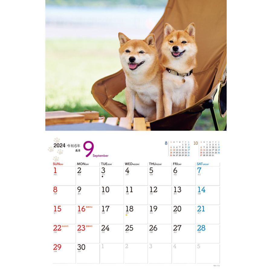 わんこ2024　9月